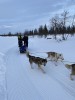image for Sled dog adventure in Laponia helps troubled teens discover their strengths