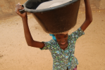 image for Irrigation, reforestation et agriculture durable au Mali 