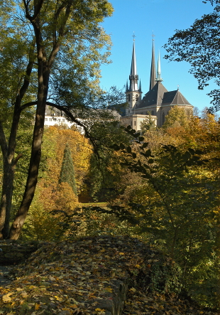 Fondation Notre dame-Image