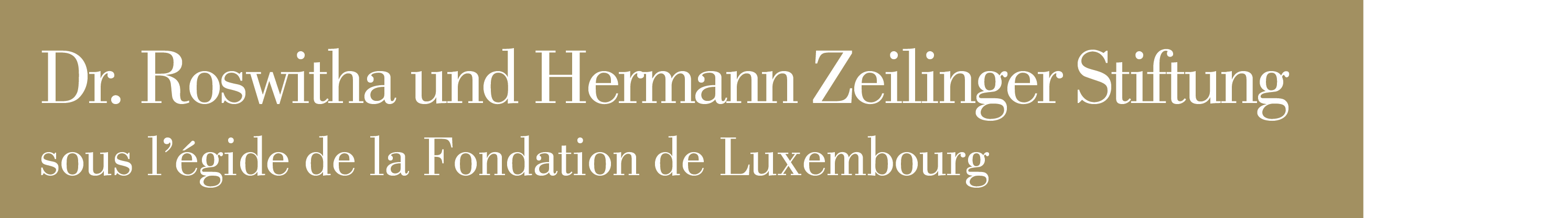 Dr. Roswitha und Hermann Zeilinger Stiftung_logo