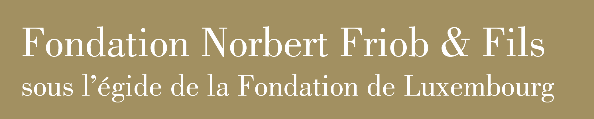 Fondation Norbert Friob & Fils_ Logo