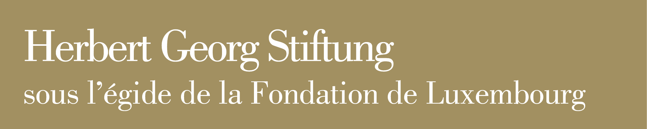 Herbert Georg Stiftung_logo 