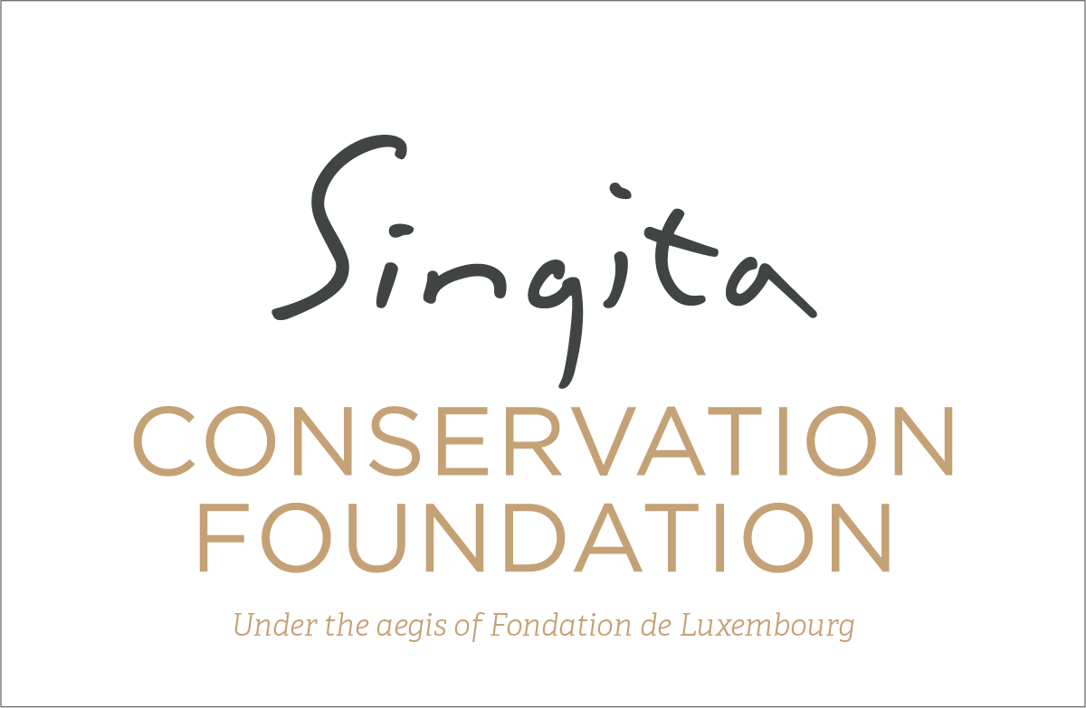 Singnita-Logo