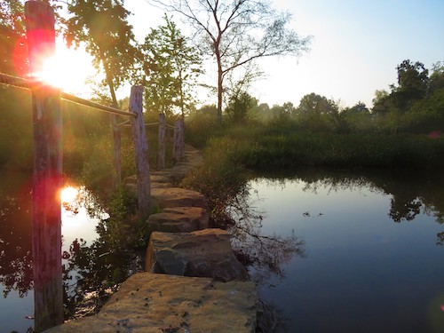 CampineVivante_natuurpunt_Opening_vispaaiplaats_speelnatuur_Stein_Temmerman